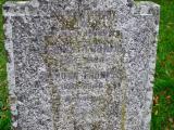image number DSC_7982